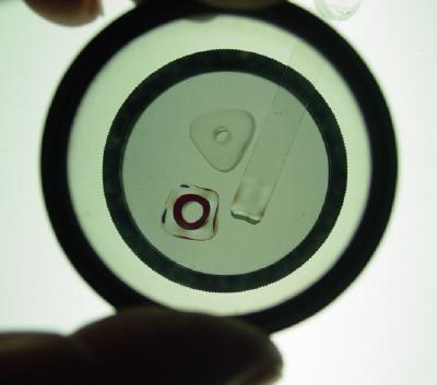 beads and strip on bottom lens