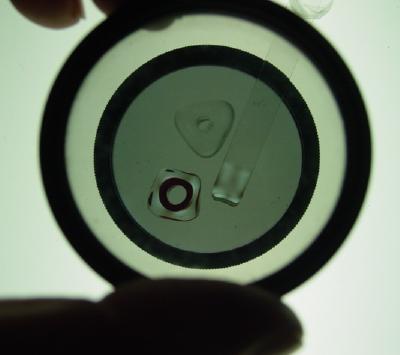 beads and strip on bottom lens