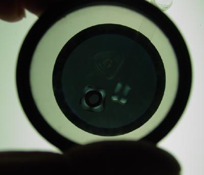 beads and strip on bottom lens